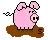 pig(weird pig)