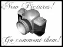 New Pictures