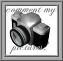 comment my pictures please