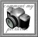 comment my pictures