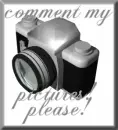 comment pictures please