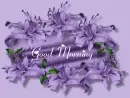 good morning