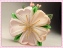 cherry blossom
