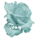 Tony
