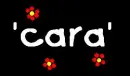 cara (especially made 4 a friend)