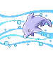 delfin!!!