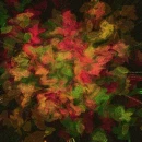 fallen leaves