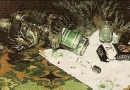 cute cat