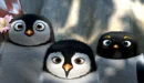 Penguins
