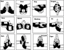 hand signs