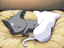 yin and yang neko twins