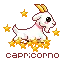 capricorno