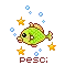 pesci