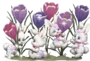 Bunnies with Tulips