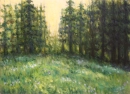 Meadow
