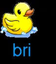 brianna duck