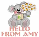 Hello From Amy
