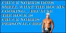 Chuck Norris The Rock