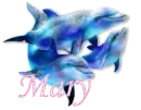 Mary - Dolphins
