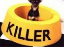 killer