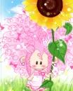 BBoguri