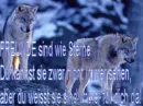 wolves
