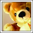 teddy bear
