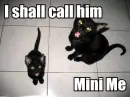 i shall call him mini me