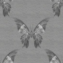 black butterfly