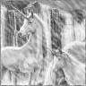 black unicorns