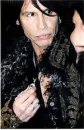 Steven Tyler (Aerosmith)