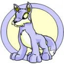 lupe