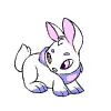 CyBunny