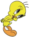 tweety  bird