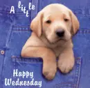 a little happy wednesday