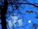 ghosts by moon light