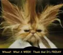 thank god it's  friday!