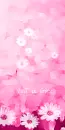 pink flowers