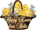 Chick basket 