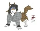 kiba /poke mon