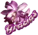 gracias