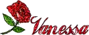 Vanessa - Rose