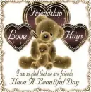 Have A Beautiful Day Teddy Bears