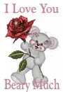 Love You Beary Much