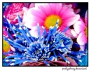 Colorfull