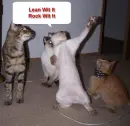 Cat rock