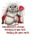 Somebunny Is Awalys Thinking of You And Looking For Your Smile