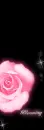 BLOOMING