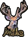 Mike's Buck