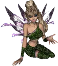 Fairy
